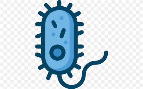 Bacteria Microorganism Clip Art Png 512x512px Bacteria Microbiology