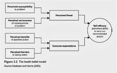 contoh health belief model model