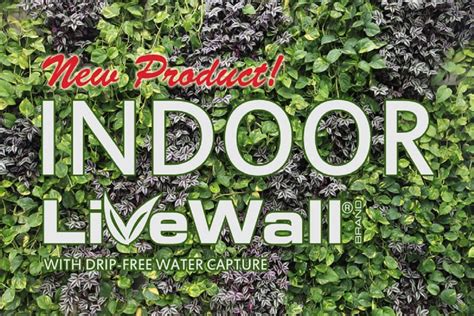 Introducing Livewall Indoor The Drip Free Version Of Livewall The