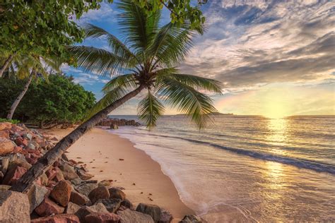 take a romantic trip to jamaica pure vacations romantic jamaica