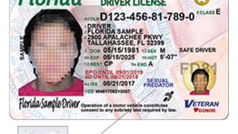 Under 21 Drivers License Florida E Verify Gov Sites Default