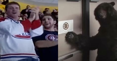 When The Boston Bruins Decided To Upgrade Two Habs Fans Seats But A