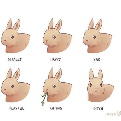 23 Funny Easter Memes To Make You Happy Artofit