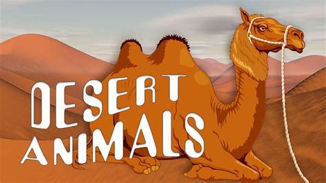 Desert Animals Video For Kids Toddlers And Babies In English Youtube
