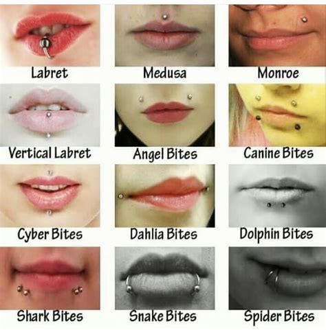 All Face Piercings Chart
