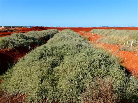 Sustainable Solution To Minings Red Mud Waste Enters Final Stage Of