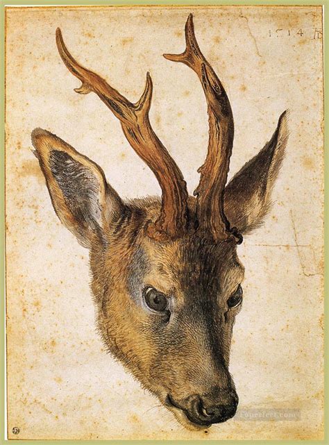 Head Of A Stag Albrecht Durer Painting In Oil For Sale
