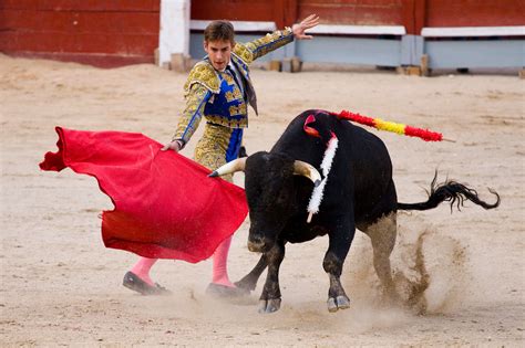 Bullfight At Plaza De Toros Las Ventas Madrid Times Of India Travel