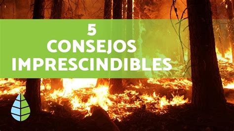 Prevenci N De Incendios Forestales Muy Importante Youtube