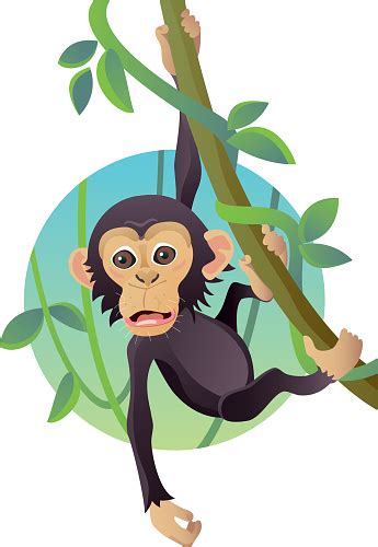 Funny Cartoon Monkey Hanging From Tree Stock Illustration