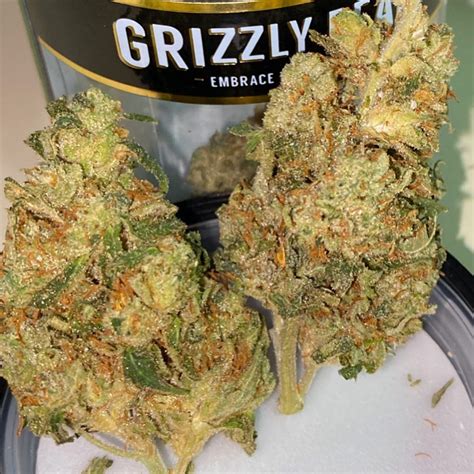 Strain Review Mango Kush By Grizzly Peak The Highest Critic