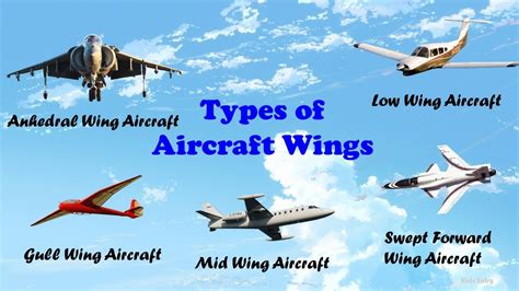 Types Of Wings In Aircraft Aircraft Wings Airplane Wings Aircraft