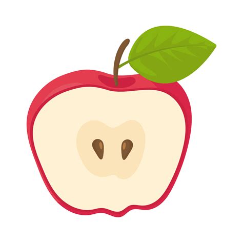 Fruit Half Cutted Red Apple Cartoon Vector Illustration Isolated Object