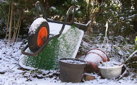 A Complete Guide To Gardening In Winter Gardening Tips Advice And