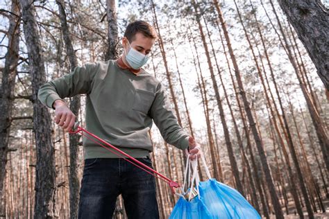 Top 3 Tips For Dead Animal Removal Smoky Wildlife Control