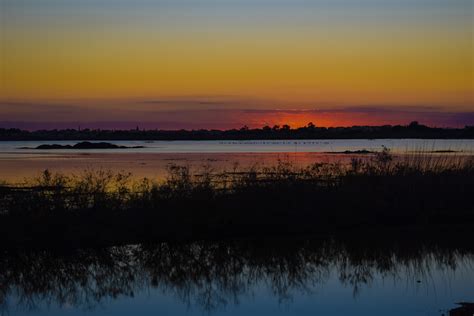 Free Images Landscape Tree Water Nature Horizon Marsh Swamp