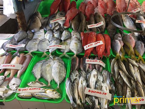Picture Of Salmon Fish In The Philippines Unique Fish Photo