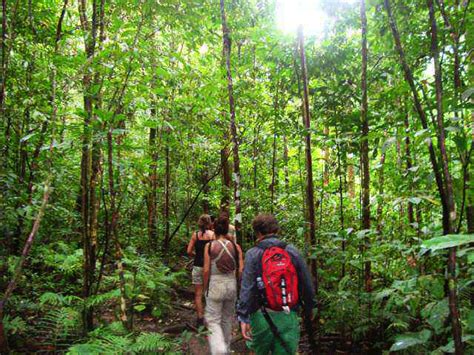 5 Ways To Get The Best Of The Costa Rica Rainforest