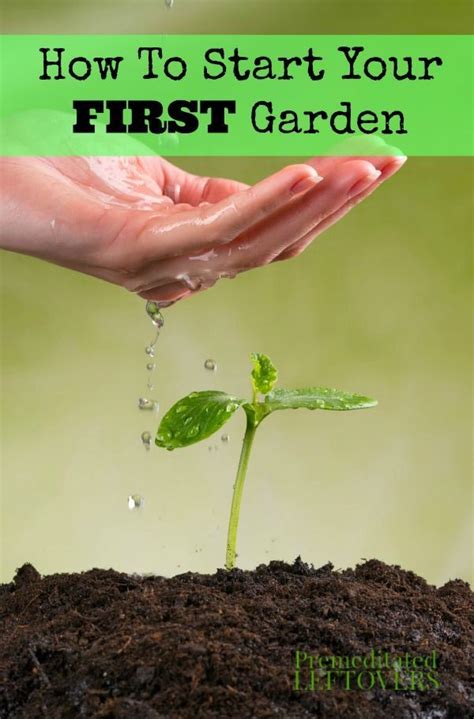 How To Start Your First Garden