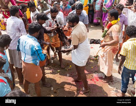 Devotees Sacrificing A Goat During Kutti Kudithal Festival In Trichy
