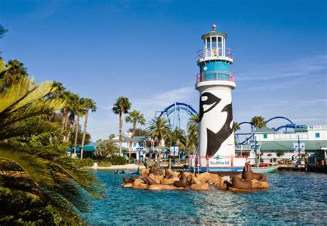 Seaworld Florida Orlando Tourist Destinations