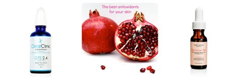 What Are Antioxidants And Why Does Your Skin Need Them Schweiger
