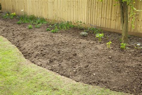 Preparing A Garden Flowerbed For Planting Stock Photo Image Of