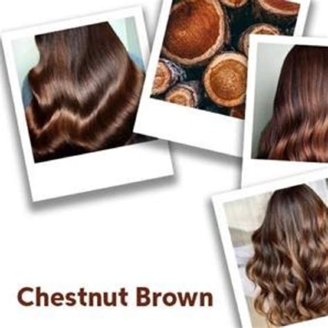 Chestnut Blonde Hair Color Chart