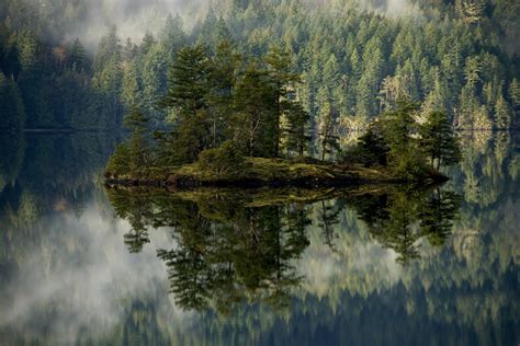 1024x500 Forest Lake Reflection 1024x500 Resolution Wallpaper Hd