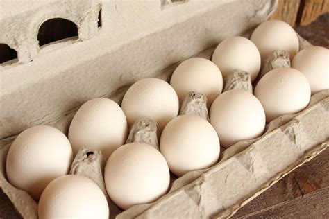 Eggs-White Eggs (Large) 1 dozen - Linvilla Orchards
