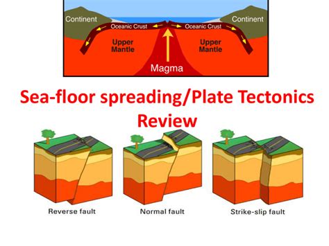 Seafloor Spreading And Plate Tectonics Floor Roma