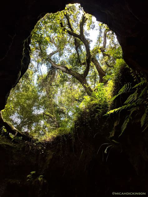 Dames Cave In Withlacoochee State Forest Fl Oc 3024 X 4032