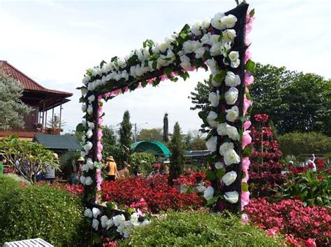 Taman Bunga Bandung Newstempo