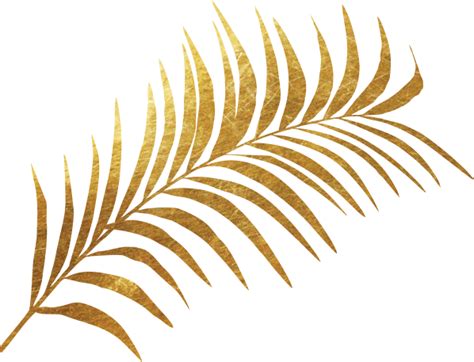 Download Transparent Golden Plant Fern Leaf Gold Pngkit