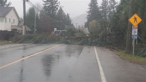 wicked wind knocks out power for tens of thousands in the lower mainland news 1130