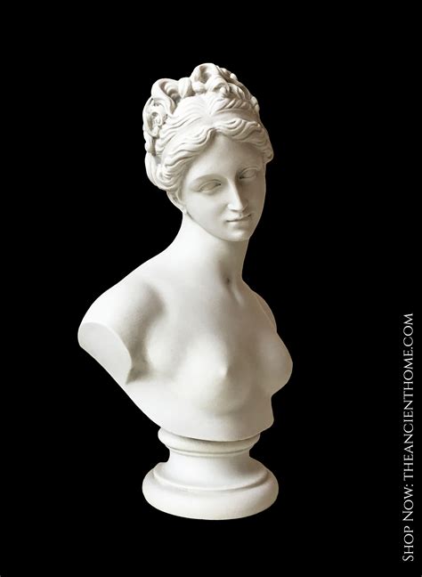 Venus Bust Sculpture Goddess Of Love Bust Sculpture Portrait