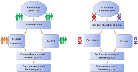 Frontiers Use Of Mendelian Randomization For Identifying Risk Factors