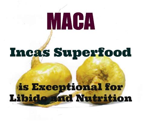 incas superfood maca powder can boost your sex drive naturally