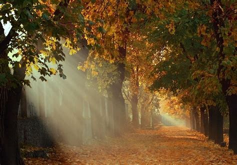 Autumn Morning 18 By Alexandrdeviant Beautiful Landscape Photography