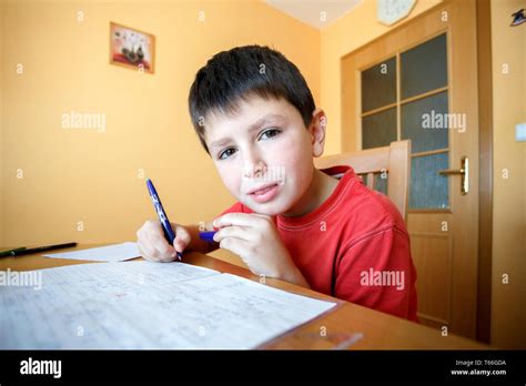Boy Doing School Homework Stock Photo Alamy