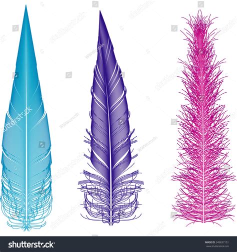 Set Colorful Feathers Different Shapes Stock Vector Royalty Free