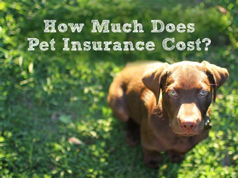 Below are 47 working coupons for aspca pet insurance discounts from reliable websites that we have updated for users to get maximum savings. How Much Does Pet Insurance Cost? The 8 Big Factors That ...