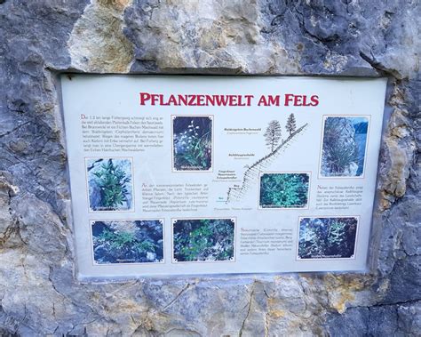 Cliff jumping at wolfgangsee, austria | 27m 90ftkarel van goor. Goldener Herbst am Wolfgangsee | SalzburgerLand Magazin