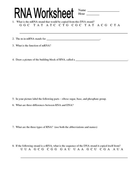 Transcription and translation practice worksheet example: 16 Best Images of 13 1 RNA Worksheet Answer Key - Chapter 11 DNA and Genes Worksheet Answers ...