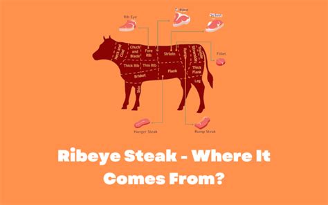what part of the cow does the ribeye come from foodsalternative