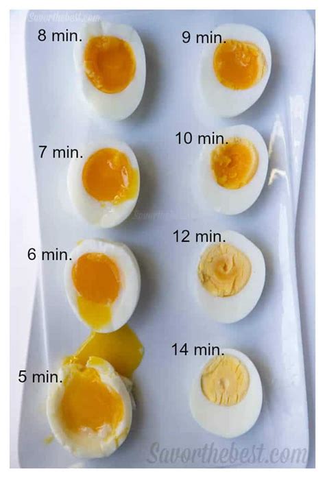 Egg so the gingerbread cookies have structure and richness. 6 Ways to Make Hard Boiled Eggs - Savor the Best