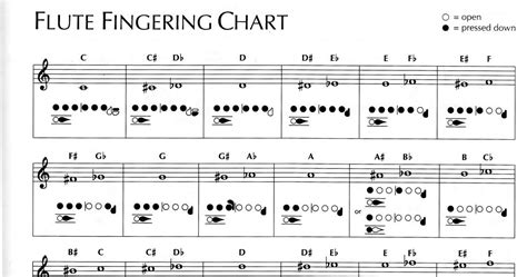 If the piece has no chromatic passages,you can keep the thumb lever depressed through the whole piece and play all the bs without worrying about them being flat. Modern Music For Flute: Flute Fingering Chart