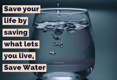 Best Slogans Quotes On Save Water World Water Day Quotes Slogans My Xxx Hot Girl