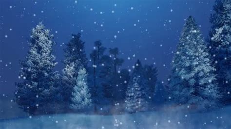 Peaceful Winter Scene Snow Covered Fir Tree Forest Magical