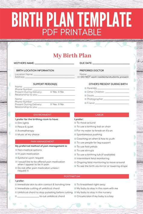 Printable Birth Plan Template Pdf